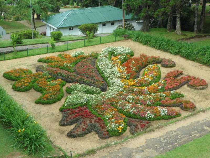 hakgala garden sri lanka