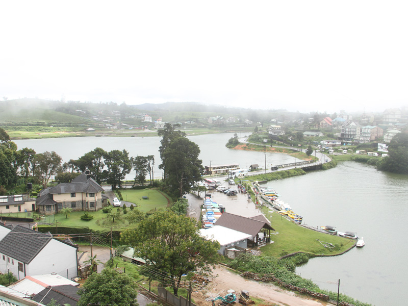 Panoramic View